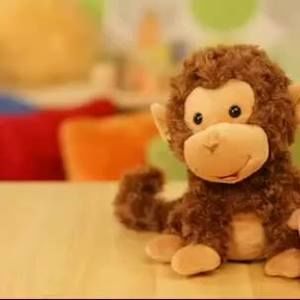 Meet your Posher, Sue